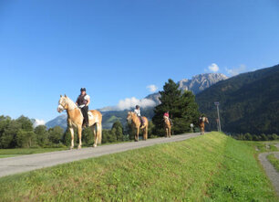 Bio-Bauernhof und Reiterhof Knaller mit Ferienwohnungen