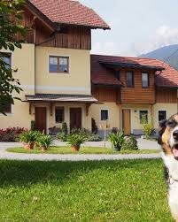 Bauernhof Lerch mit Ferienwohnungen