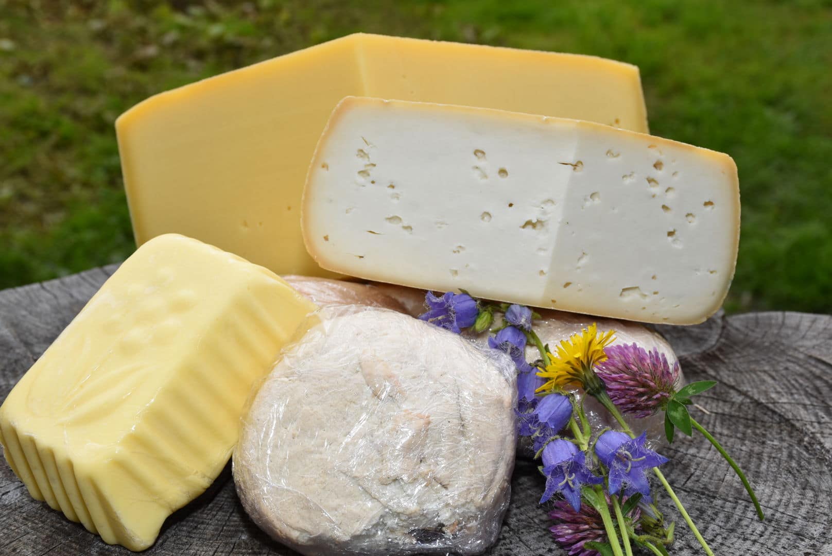 Biohof Neuwirth Biohof Neuwirth