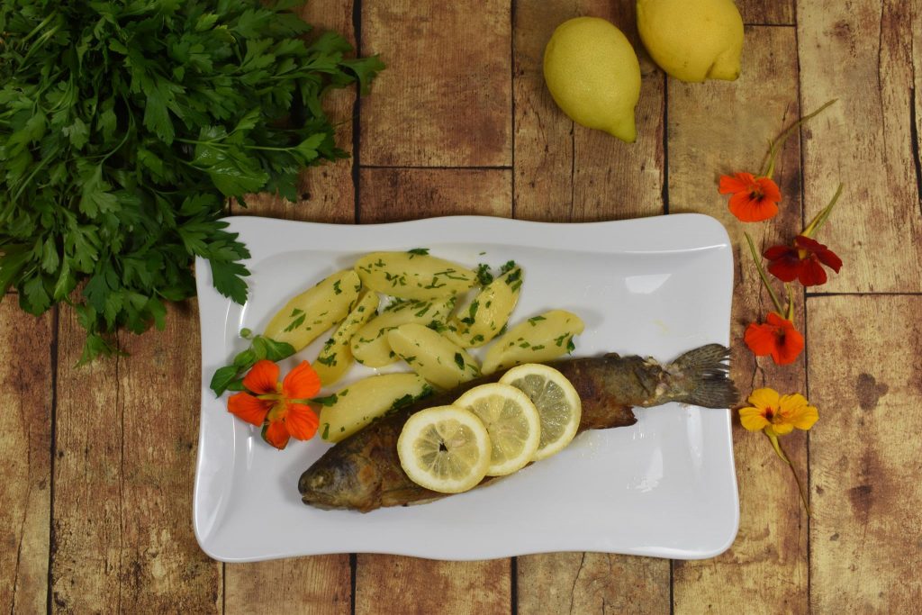 Fischzucht Zerza Fischzucht Zerza